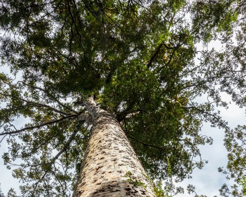 Retiring councillors bid farewell